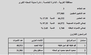 النتيجة الرسمية لدائرة مدينة المحلة الكبرى