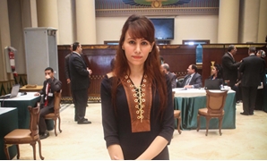 دينا عبد العزيز عضو مجلس النواب عن دائرة حلوان
