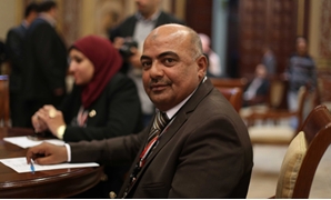 حاتم عبد الحميد عضو مجلس النواب