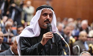 سلامة الرقيعى عضو لجنة الشؤون العربية 