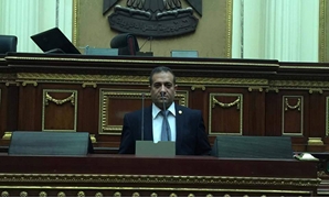 هشام الشطورى، النائب عن حزب الشعب الجمهورى