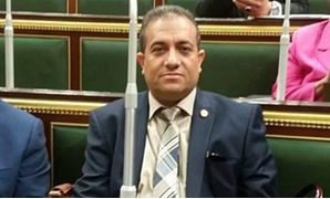 هشام الشطورى عضو مجلس النواب عن حزب الشعب الجمهورى