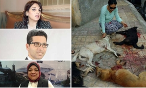 جريمة "كلاب الإسكندرية" تغضب النواب