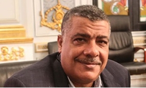 معتز محمد محمود عضو مجلس النواب