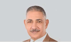 محمد زايد عضو ائتلاف دعم دعم مصر