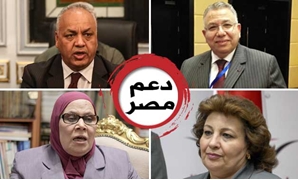 دعوى قضائية تسعى لحل ائتلاف دعم مصر