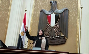 نوسيلة أبو العمرو، عضو مجلس النواب عن دائرة فاقوس