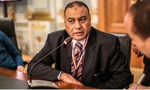 محمد سليم عضو مجلس النواب