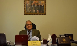 جلال هريدى رئيس حزب حماة وطن
