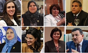 كواليس انتخاب نائبات دعم مصر 