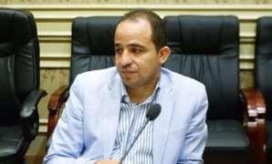 محمد إسماعيل عضو مجلس النواب