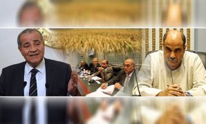 النائب رائف تمراز وكيل لجنة الزراعة بمجلس النواب