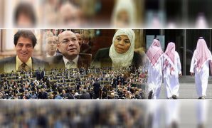 البرلمان يشكر الخليج لدفاعه عن مصر