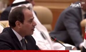 الرئيس عبد الفتاح السيسى 