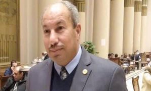 النائب مديح سيد 