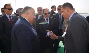 النائب طارق رضوان مع الرئيس عبد الفتاح السيسى 