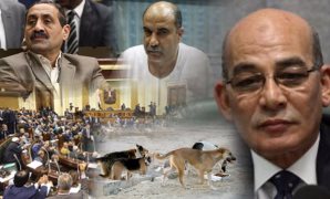 البرلمان يحاكم قتلة الكلاب