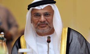 وزير الشئون الخارجية الإماراتى أنور قرقاش