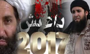 2017 عام هلاك قيادات الإرهاب