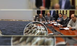 زراعة البرلمان تحذر من كارثة فى بحيرة قارون