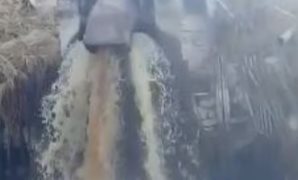 بالصور.. نواب وشخصيات عامة ورياضيون يشاركون في ختام فعاليات رمضان بسمنود