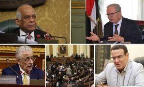 حسين عيسى: مرشحو الرئاسة لن يرقوا لمنافسة السيسى