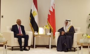 جانب من زيارة رئيس البرلمان ووفد مجلس النواب لمملكة البحرين