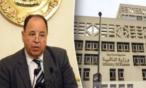 وزير المالية: مصر تدعم جهود التنمية الشاملة والمستدامة فى العالم ليعم الخير والرخاء