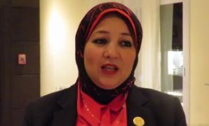 النائبة إلهام المنشاوى عضو لجنة الصحة بمجلس النواب