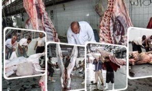 خطة الصحة للسيطرة على أسواق اللحوم فى العيد