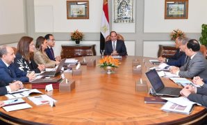 الرئيس عبد الفتاح السيسي والمجموعة الاقتصادية