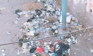 القمامة بجوار المساكن الشعبية