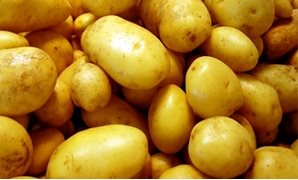 ارتفاع أسعار البطاطس على مائدة البرلمان