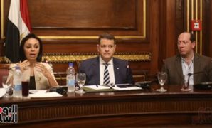 مايا مرسى رئيس المجلس القومى للمرأة