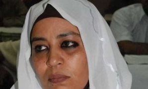 ممثلة الاتحاد الأفريقى فى اجتماع دول جوار ليبيا الدكتورة أميرة الفاضل