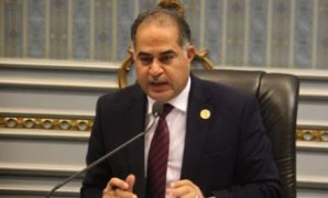 سليمان وهدان - نائب رئيس الوفد