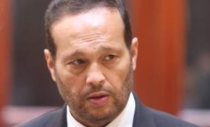  النائب محمد حلاوة، عضو مجلس الشيوخ