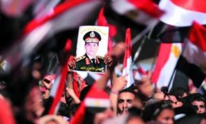 نائب يطالب بتدشين نصب تذكاري لشهداء ثورة 30 يونيو