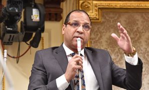 نائب: لولا ثورة يونيو لأصبحت مصر أسيرة للفوضى والإرهاب