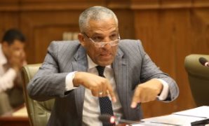 محمد الحسينى - وكيل لجنة الادارة المحلية بمجلس النواب 
