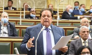 النائب محمد أبو العينين، وكيل مجلس النواب