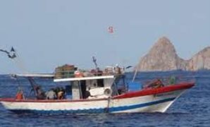 التشريع المصرى يحصن السلاحف البحرية وزريعة الأسماك من الصيد العشوائى 