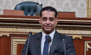 برلماني: مصر حققت نجاحات في مجال الطاقة وخطواتها المتواصلة للربط الكهربائي