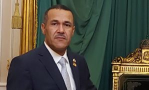 النائب ياسر نصر الهواري عضو مجلس النواب