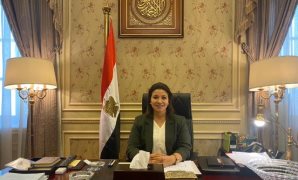 النائبة نانسي نعيم، عضو لجنة حقوق الإنسان بمجلس النواب