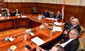 الرئيس السيسى: ثورة 25 يناير عبرت عن تطلع المصريين لبناء مستقبل جديد