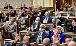 برلمانية: قمة المناخ بشرم الشيخ سيكون لها دور في انقاذ العالم من خطر الانبعاثات الكربونية