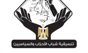 عضو بتنسيقية الأحزاب: المصريون استعادوا دولتهم في 30 يونيو