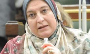 الدكتورة حنان حسني يشار