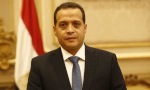  النائب خالد أبو الوفا، عضو مجلس الشيوخ
